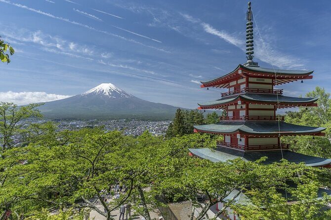 Majestic Mt. Fuji & Hakone Retreat –A Private Day Tour from Tokyo - Tokyo Hotel Pickup and the Private Ride Comfort Factor