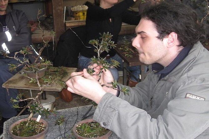 Make Your Own Bonsai with a Professional Bonsai Artist in Tokyo - A two-hour class in Tokyo that stays hands-on (and small)