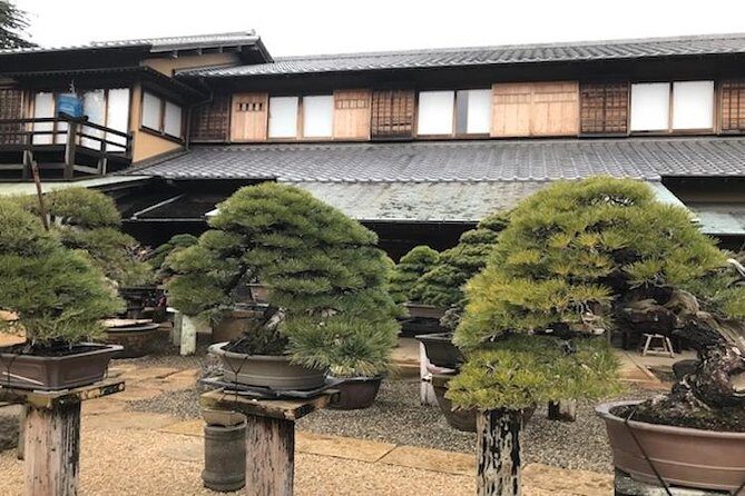 Make Your Own Bonsai with a Professional Bonsai Artist in Tokyo - What you’ll do: shaping and wiring basics (with guidance)