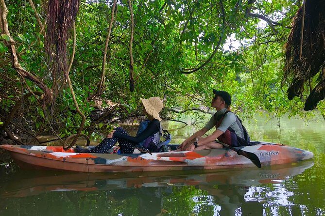 Mangrove kayaking to enjoy nature in Okinawa - Value check: why $36.33 feels fair here