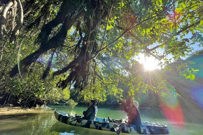 Mangrove kayaking to enjoy nature in Okinawa - Who this kayak tour suits best (and who might want something else)