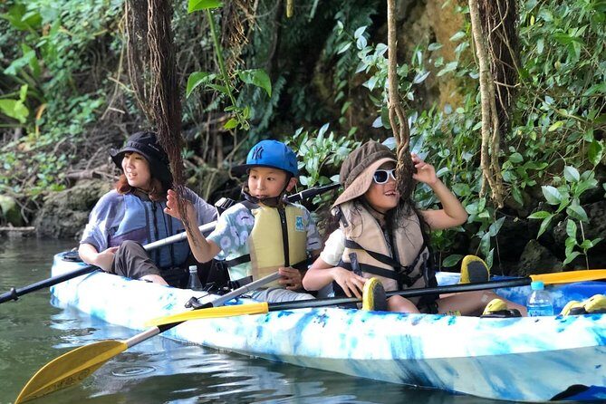 Mangrove kayaking to enjoy nature in Okinawa - The hour on the water: mangroves, roots, and small wildlife
