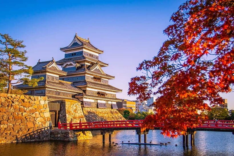 Matsumoto Castle & Best of Nagano: Kamikochi, Narai and more - Lunch, vegetarian needs, and how flexible guides help