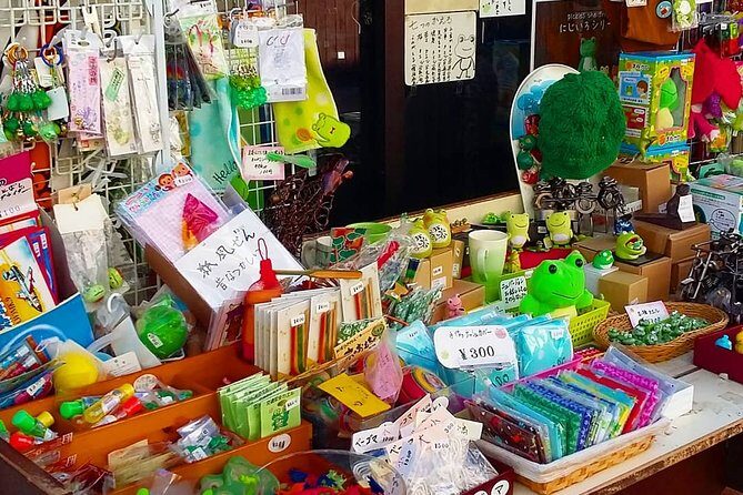 Matsumoto Discovery - Half Day Walking Tour - What the Licensed Guide Actually Brings to the Walk