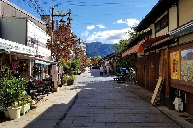 Matsumoto Private One Day Tour from Nagano - Daio Wasabi Farm in Azumino City: wasabi you can actually see