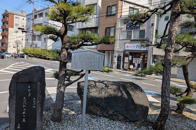 Matsuyama Castle & Hidden Local Sweets: Artisan Shop Tasting Tour - Small Group Walking Style: Tea, Talks, and What You Can Buy
