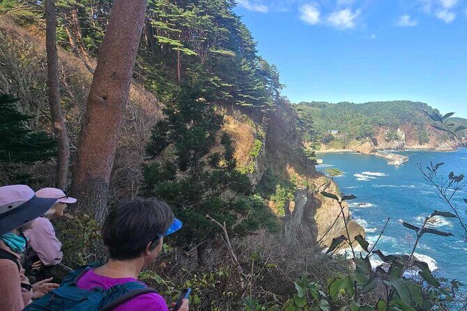 Michinoku Coastal Trail & Sea Kayak in Jodogahama - Lunch Time at Jodogahama Beach: Scenic Pause, Meals on You