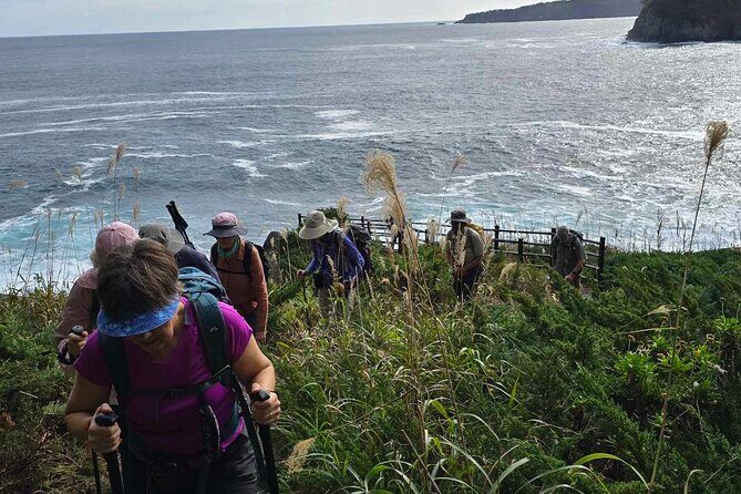 Michinoku Coastal Trail & Sea Kayak in Jodogahama - Stop 2: Sea Kayak or Stand Up Paddle in Jodogahama Bay