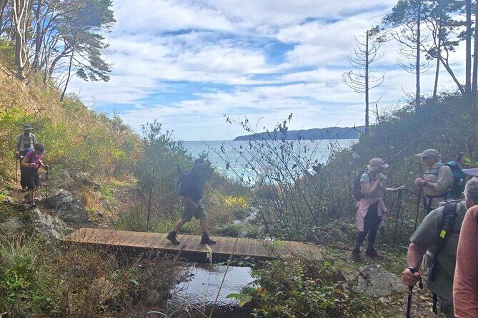 Michinoku Coastal Trail & Sea Kayak in Jodogahama - Price and Value: What $215 Buys You in Real Terms