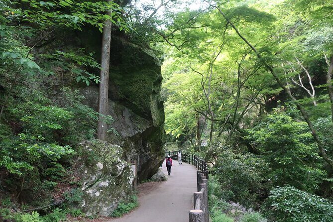 Minoh Waterfall and nature walk through the Minoh Park - The Minoh Waterfall Walk: Sound, Mist, and 33 Meters of Payoff