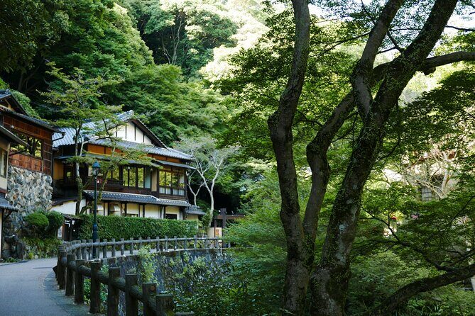 Minoh Waterfall and nature walk through the Minoh Park - Lunch Included: Turning a Hike Into a Full Day