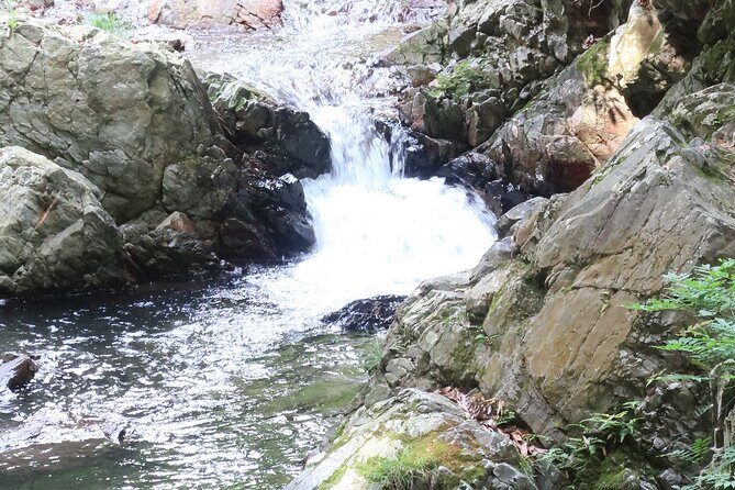 Minoh Waterfall and nature walk through the Minoh Park - Who Should Book This (and Who Might Hesitate)