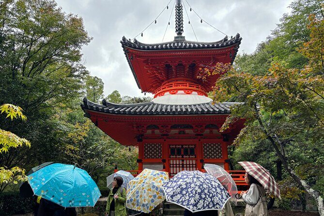 Mitaki Peace Tour Beyond Central Hiroshima - The seven Mitaki experiences: small activities and easy walking