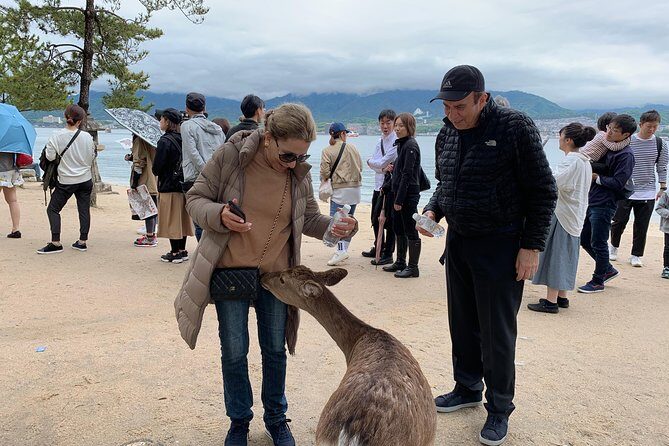 Miyajima Half-day Private Tour with Government Licensed Guide - Itsukushima Shrine and the torii gate: tide timing is the whole game
