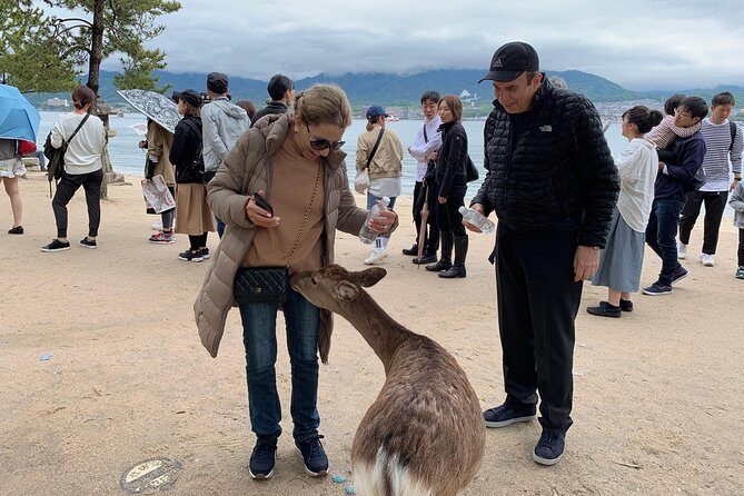 Miyajima Half-day Private Tour with Government Licensed Guide - Daishoin Temple on Mount Misen: what makes this stop work
