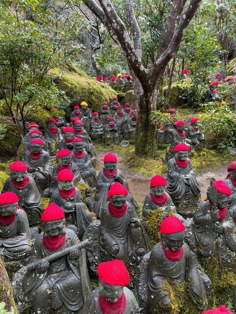 Miyajima Highlights: Itsukushima Shrine & Island Nature - Who this tour suits best (and who might want a different plan)