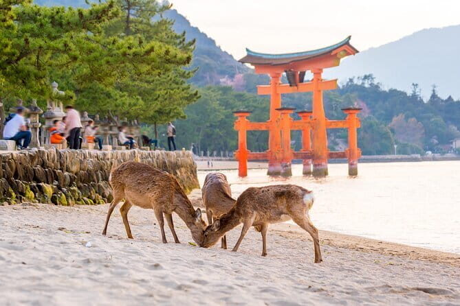 Miyajima Island Day Tour in Sacred Sites and Mount Misen - The Floating Torii Gate: the photo you came for, plus context