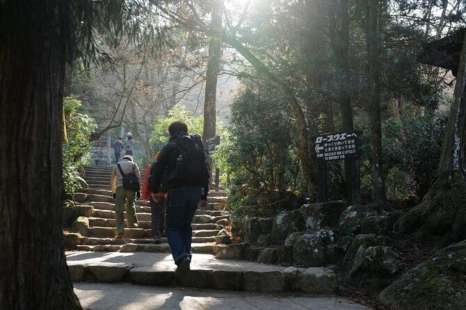 Miyajima Island Tour with Certified Local Guide - What this tour is best for