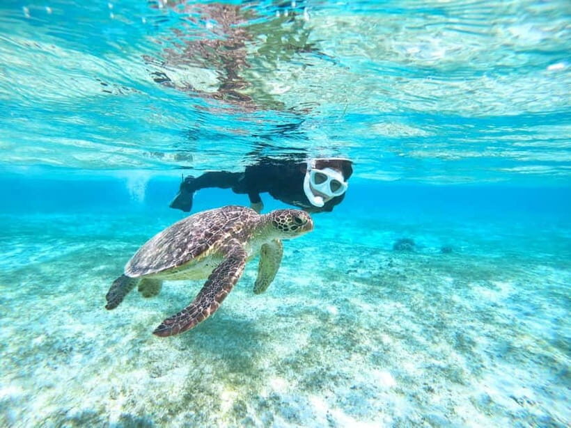 Miyako island: 3 sets! Snorkeling/Limestone Caving/Beach SUP - Key things I’d plan around