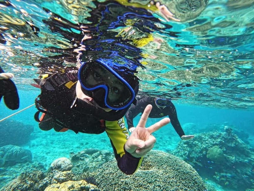 Miyako island: 3 sets! Snorkeling/Limestone Caving/Beach SUP - Shigira Beach snorkeling: the sea turtle moment is the headliner