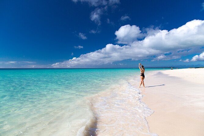 [Miyako Island/Full Day] Sea Turtle Snorkeling & SUP or Canoe - Snorkeling in a reef-like world: coral, fish, and sea turtles