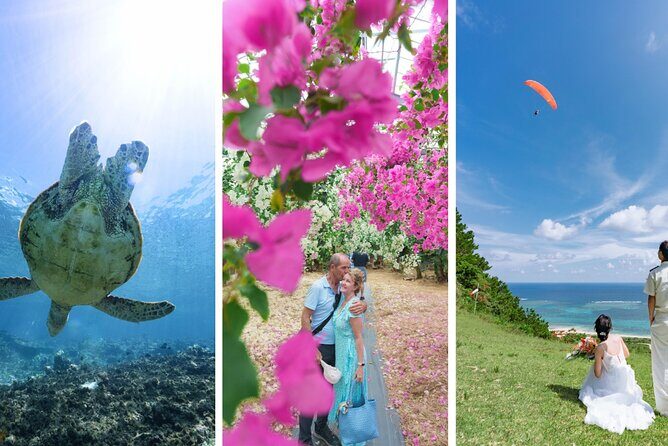 Miyako Island Half-day Private Tour - Miyakojima in half a day: why this route works
