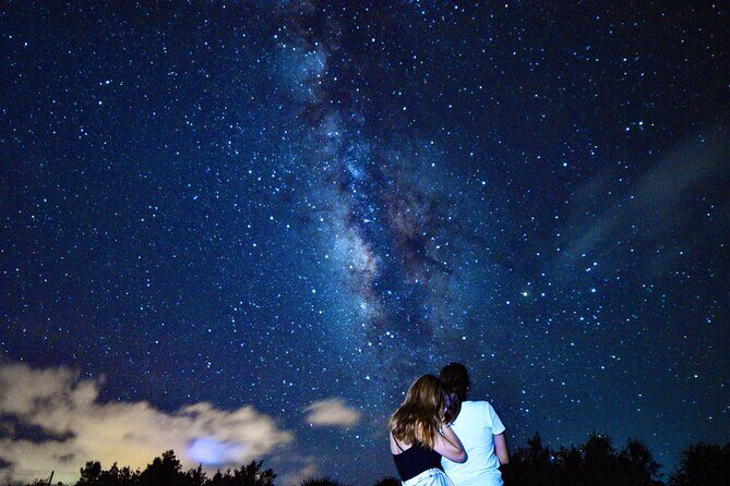 Miyako Island Jungle Night Tour and Starry Sky Viewing - The 7:00 pm Start: Timing, Meeting Point, and How 90 Minutes Works
