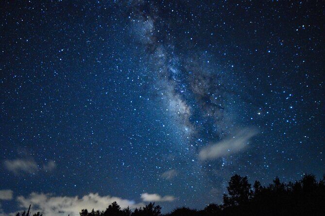 Miyako Island Jungle Night Tour and Starry Sky Viewing - Starry Sky Viewing: Chasing the Milky Way Without a Lecture