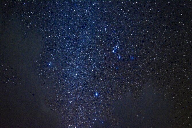 Miyako Island Jungle Night Tour and Starry Sky Viewing - Guide Communication and Learning What You’re Seeing