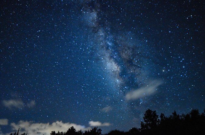Miyako Island Jungle Night Tour and Starry Sky Viewing - Should You Book It on Miyakojima?
