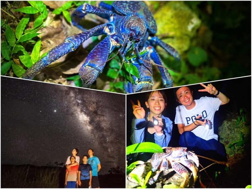 Miyako Island: Stars & Jungle Night Walking Tour - Creature hunting in subtropical jungle: what you can realistically expect