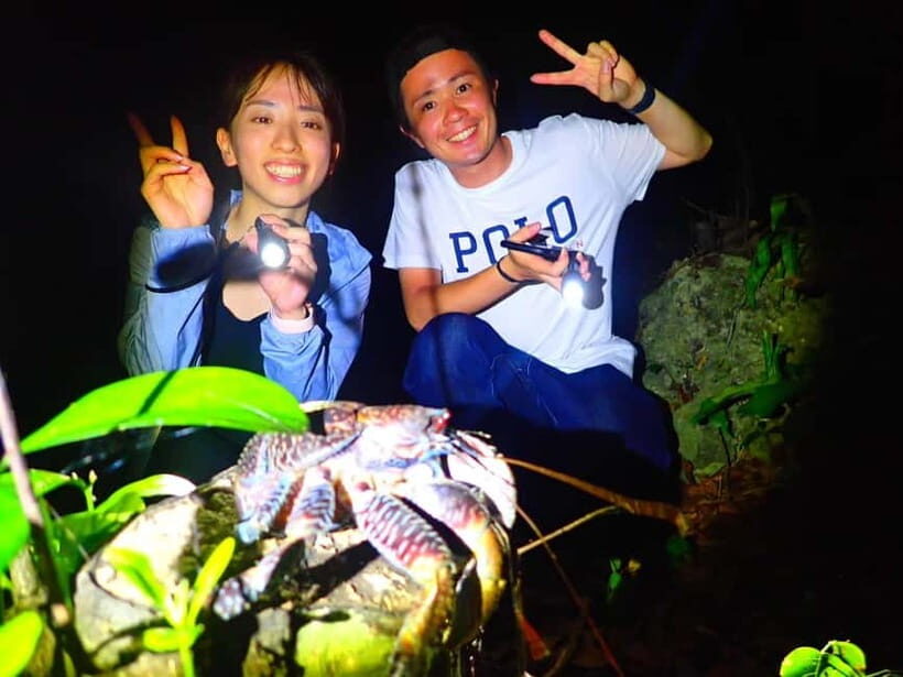 Miyako Island: Stars & Jungle Night Walking Tour - What you get for $31: value analysis that’s actually useful
