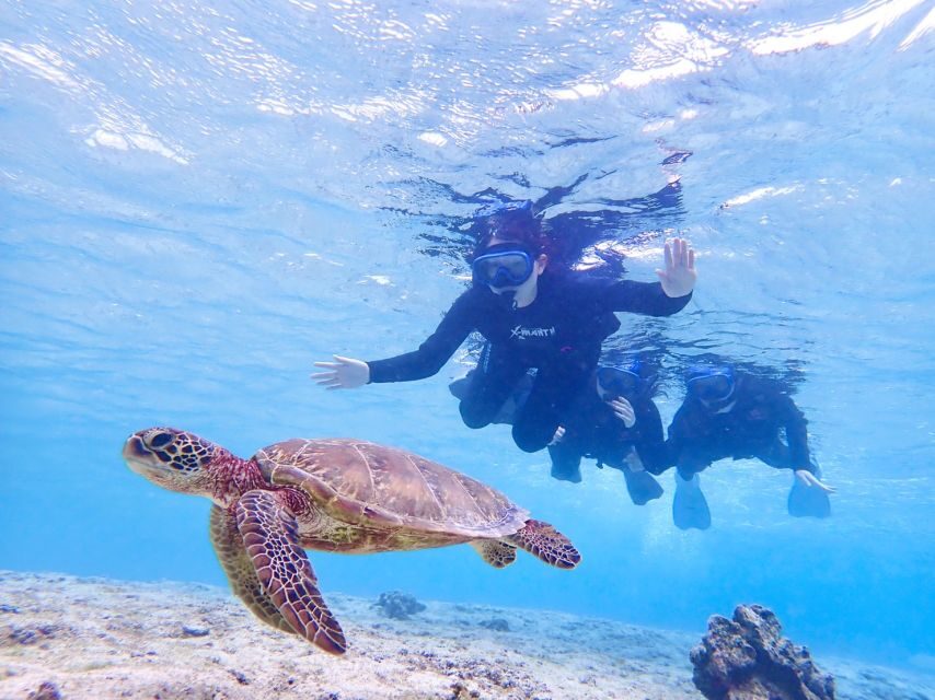 Miyako Island: SUP or Canoeing and Snorkeling Experience - The Lunch Break: Local Food With Guide-Selected Context
