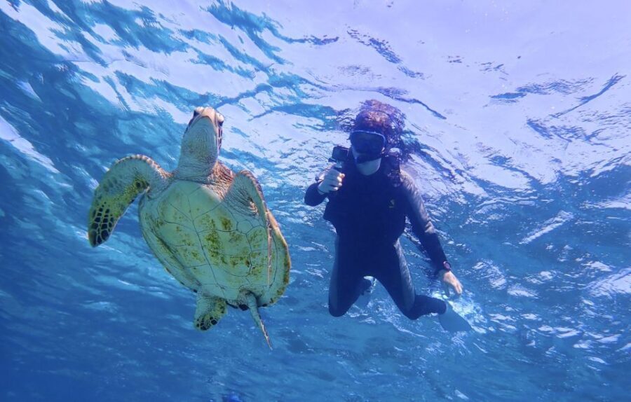 Miyako Island: SUP or Canoeing and Snorkeling Experience - Snorkeling at Shigira Beach: Clear Water and Turtle Possibilities