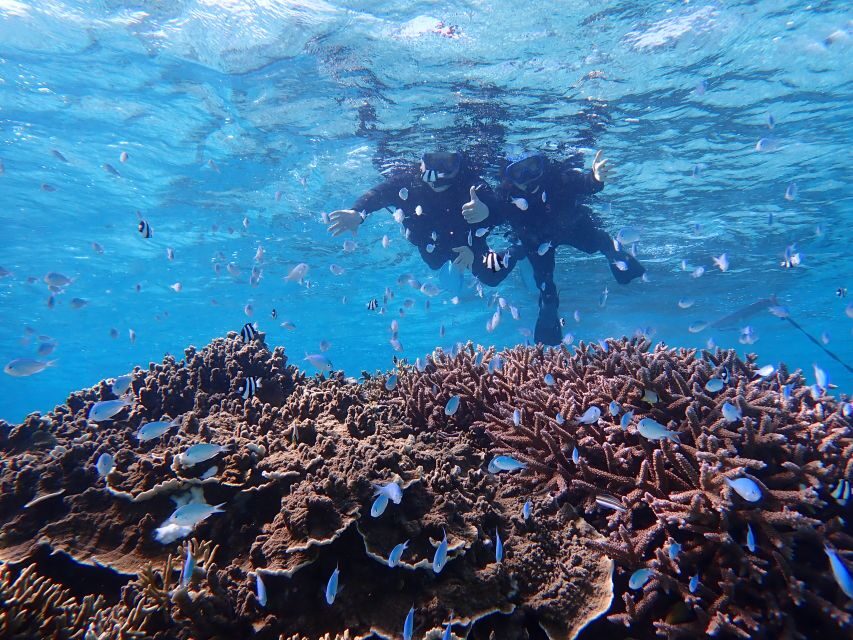 Miyako Island: SUP or Canoeing and Snorkeling Experience - Equipment and Safety: What’s Provided, What’s Mandatory