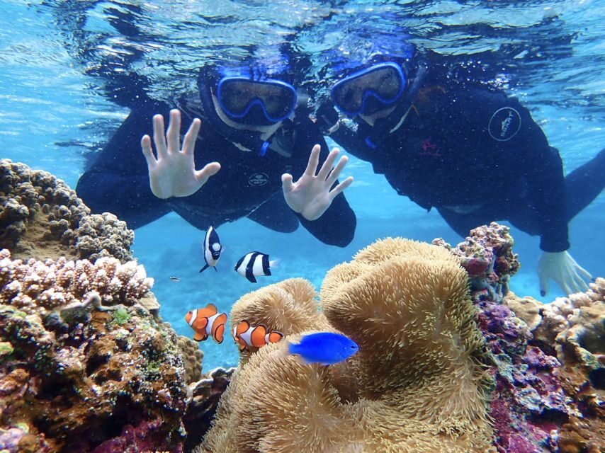 Miyako Island: SUP or Canoeing and Snorkeling Experience - Guides, Language, and Communication That Actually Works