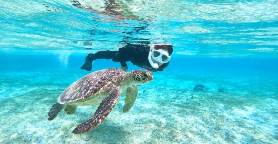 Miyako Island: SUP or Canoeing and Snorkeling Experience - Where You Start: Two Parking Lots, Two Different Vibes