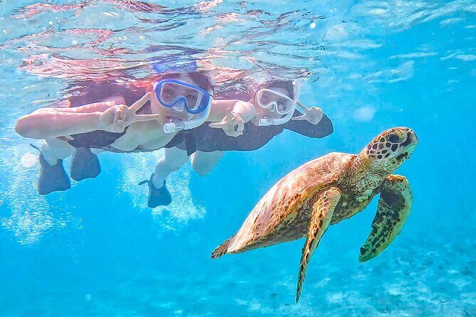 Miyako Two Activities in Half Day SUP and Sea Turtle Snorkeling - Key Highlights You’ll Care About