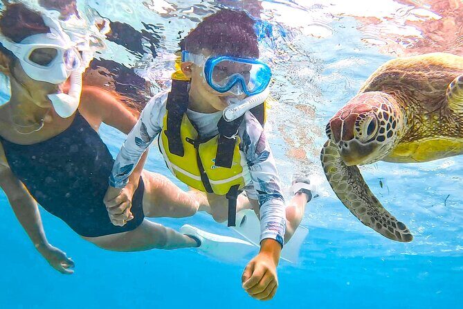 Miyako Two Activities in Half Day SUP and Sea Turtle Snorkeling - Why Miyako Blue Works So Well for SUP and Sea Turtle Snorkeling