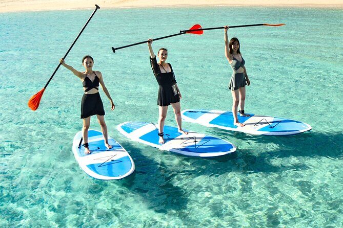 Miyako Two Activities in Half Day SUP and Sea Turtle Snorkeling - Sea Turtle Snorkeling: Your Odds Improve When the Guide Sets You Up