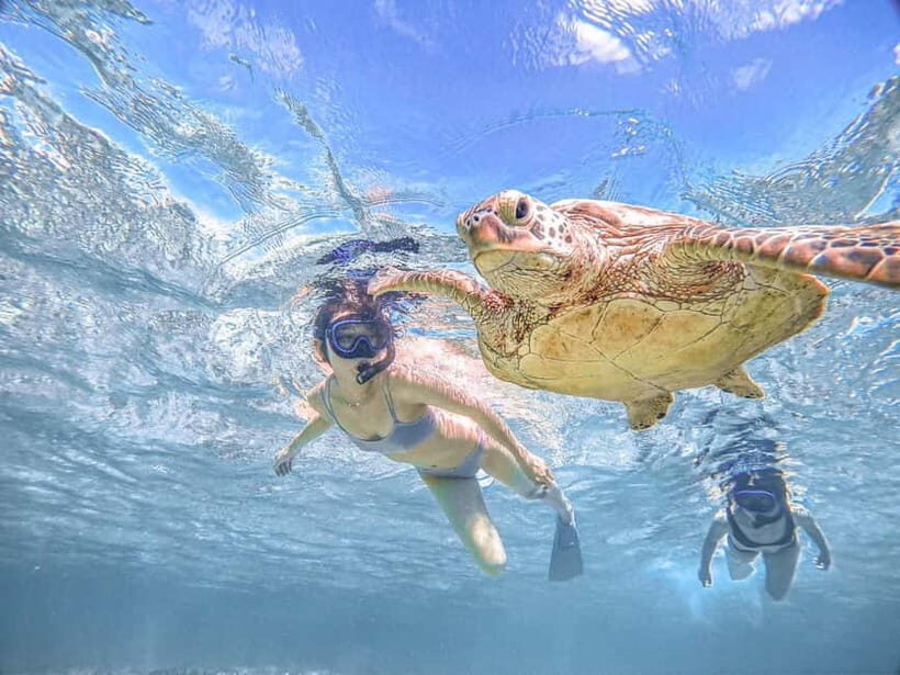 Miyakojima: SUP and Snorkeling- Two Activities in One Day - Your Two-Activity Day: SUP Meets Snorkeling in Miyakojima