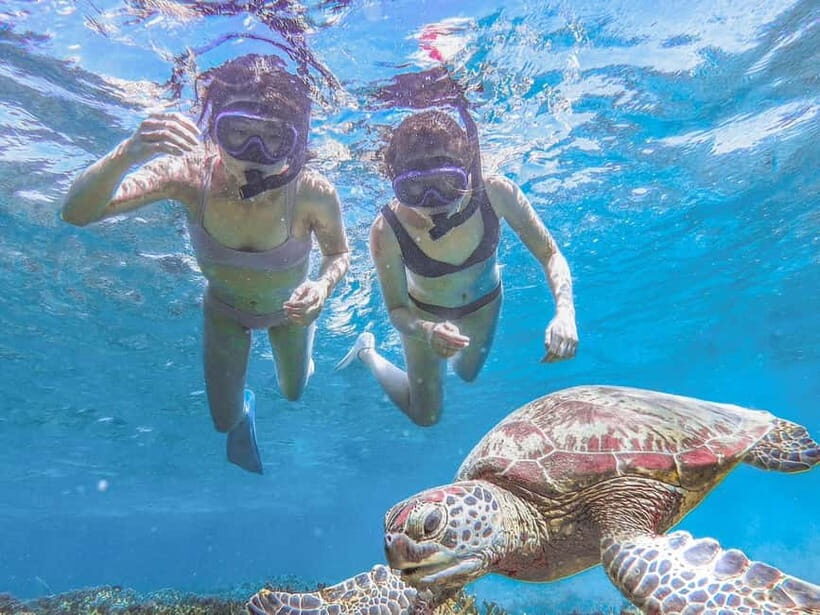 Miyakojima: SUP and Snorkeling- Two Activities in One Day - Shigira Beach Snorkeling: See Fish Up Close, Keep It Simple