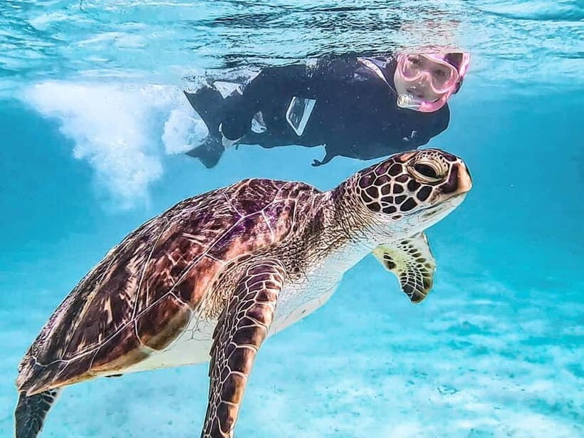 Miyakojima: SUP and Snorkeling- Two Activities in One Day - Imgyaa Marine Garden SUP: Miyako Blue and Actual Balance Time