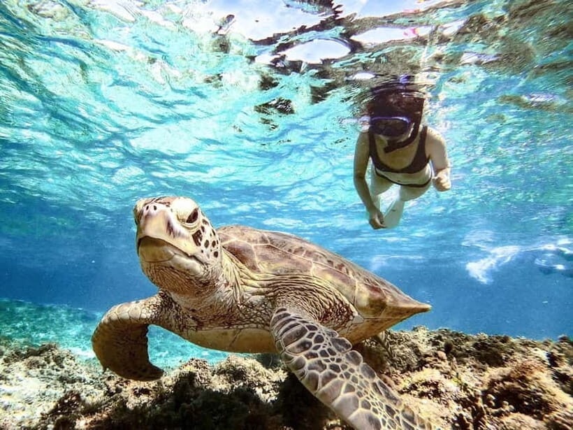 Miyakojima: SUP and Snorkeling- Two Activities in One Day - Guides and the Human Touch: Names You Might Hear