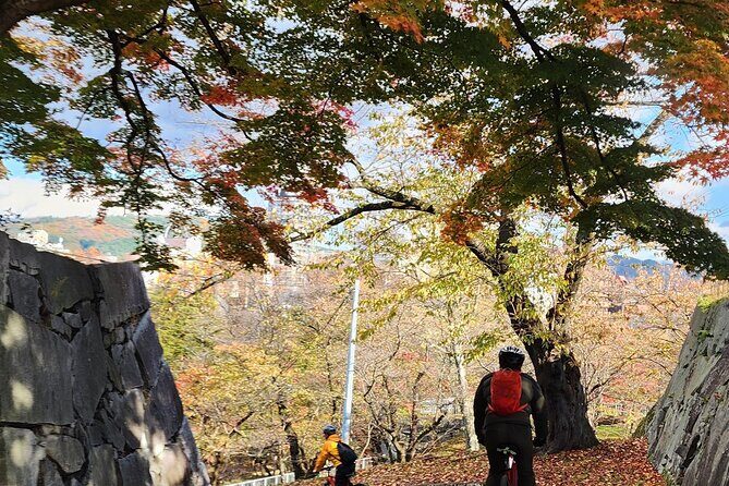 Morioka City Cycle with local guide: Temples, Treats & Townscapes - Morioka Station Waterfall Square: your starting line and orientation