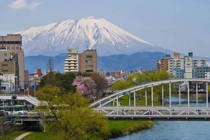 Morioka Full-Day Private Tour with Government-Licensed Guide - Stop 1: Morioka Hachimangū and the spirit of Chagu Chagu Umakko