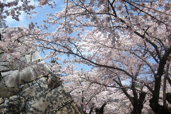 Morioka Full-Day Private Tour with Government-Licensed Guide - Price and value: what you get for $156.89 per person