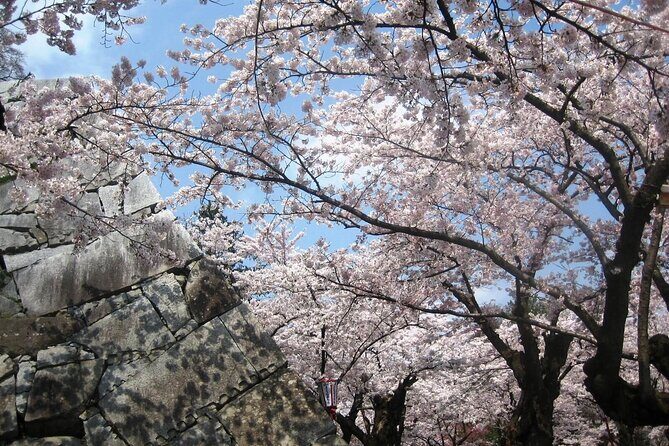 Morioka Half-Day Private Tour with Government-Licensed Guide - Morioka in Four Hours: Why This Works