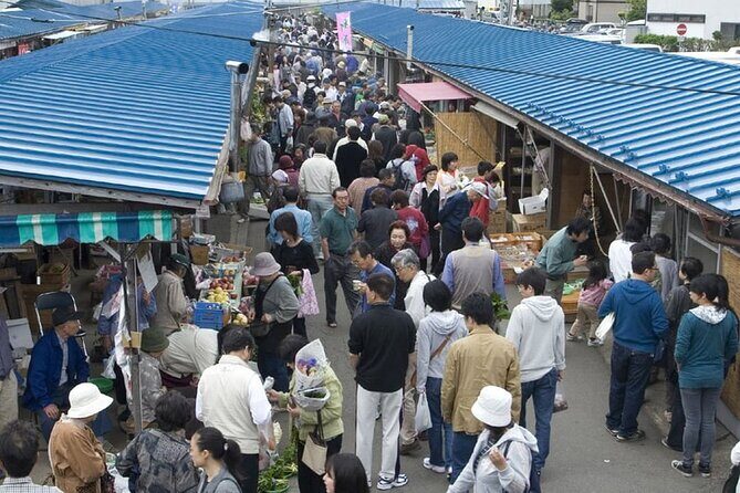 Morioka Half-Day Private Tour with Government-Licensed Guide - Price and Logistics: What You’re Really Buying