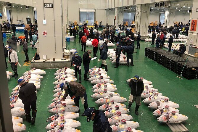 Morning Market Adventure: Toyosu & Tsukiji with Tuna Auction - Key things that make this tour worth the 5:00 am alarm